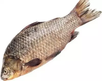 Карась с/м крупный 500-800