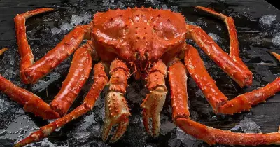 Краб камчатский в/м Подарочный 2+