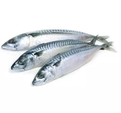 Скумбрия с/м 400-600 1/10,0 МОНОЛИТ Китай