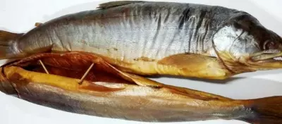 Голец вяленый