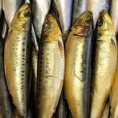 Сардина Иваси х/к